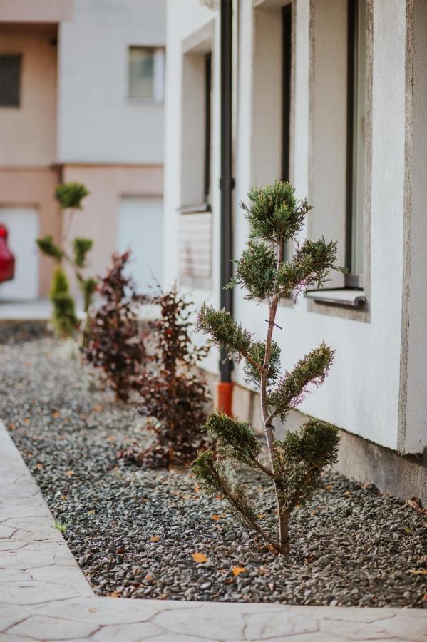 The Nook Aparthotel 蒂米什瓦拉 外观 照片